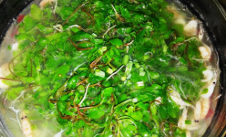 Thủa nhỏ mẹ cho ăn một loại rau vị đắng, thứ rau dại bổ dưỡng, hơn cả mâm cao cỗ đầy, đó là rau gì?