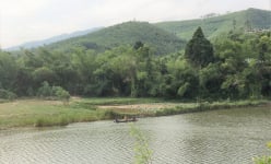 Một hồ nước ngọt ở Quảng Nam tên là Bàu Quyền, sự thật con cá bự xà lự phóng lên không trung