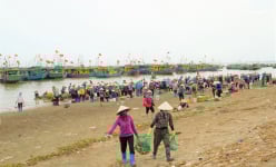Tấp nập chợ cá Giao Hải ở Nam Định, thuyền vừa cập bến, thương lái đã tranh nhau mua 