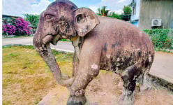 Hai pho tượng cổ hình voi đá thành Đồ Bàn ở Bình Định là báu vật của người Champa còn bí ẩn