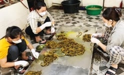 Cả làng ở Nghệ An khá giả hẳn lên nhờ một con đặc sản, món ngon này còn 'cưỡi' máy bay đi chợ quốc tế