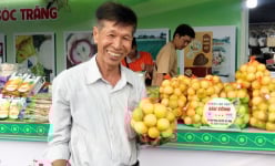Chuyện lạ Sóc Trăng, trồng chanh ngọt trông như trái xoài, chủ vườn là Nông dân Việt Nam xuất sắc 2023