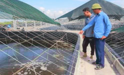 Tỷ phú nuôi tôm công nghệ cao, nuôi con vạng ở Nam Định là Nông dân xuất sắc 2023