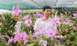 Trồng loại hoa “nữ hoàng” ở xã nông thôn mới, nhiều ông nông dân Sài Gòn thu tiền tỷ, nghe phát ham