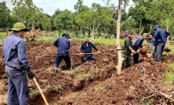 Thông tin mới nhất về hồ sơ danh sách, quy tập hài cốt liệt sĩ trên toàn quốc