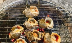 Ra một hòn đảo ở Quảng Ninh nướng con ốc biển to bự, nhìn sang thấy cá dìa xếp lớp thơm phức mùi lá lốt