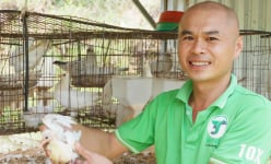 Thầy giáo trẻ 'bỏ nghề' nuôi thứ chim đẻ sòn sòn mà sạt nghiệp, giờ trở thành nhà giàu đất Bình Thuận, bất ngờ!