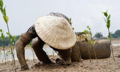 Ở Thanh Hóa có đặc sản “tên lạ”, nhiều người tò mò đặt mua về ăn thử, giá không hề rẻ