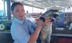 'Đánh liều' nuôi con đặc sản ham ăn cá, chuối chín, một anh nông dân ở Long An lãi nửa tỷ