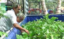 Đang trồng lúa ngon ơ, nông dân Tây Ninh chuyển sang nuôi con đặc sản này, thu lời cả trăm triệu