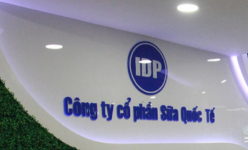 Sữa Quốc tế (IDP) sắp chi hơn 500 tỷ đồng tạm ứng cổ tức đợt 1/2023