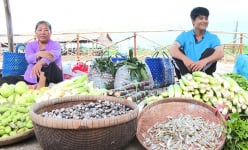 Chợ quê Đồng Tháp bán sản vật, có rau đồng, cá đồng, sao càng nhiều người muốn đến xem?