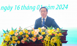 Phó Thủ tướng: Kon Tum cần thu hút các nguồn lực để phát triển dược liệu, nhất là sâm Ngọc Linh