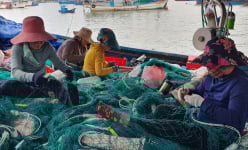 Có một nghề lâu đời ở vùng biển Khánh Hòa đang tạo việc làm, thu nhập tốt cho hàng trăm người