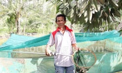 Mang tiếng nuôi 'ôm đồm, thập cẩm' dưới ao, ai ngờ ông nông dân Sóc Trăng lại có 'lương cao', toàn con đặc sản
