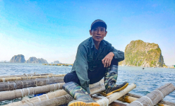 Cát xốp là gì mà dân nuôi ngao, thưng, sần ở Quảng Ninh đang ngóng chờ từng ngày để vào vụ nuôi mới?