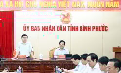 Vụ gần 19.000 hộ dân bị ‘mắc kẹt’ quy hoạch bauxite: Bộ Công Thương làm việc với tỉnh Bình Phước