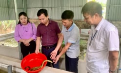 Hội Nông dân Thanh Hóa tổ chức nhiều hoạt động sôi nổi kỷ niệm ngày thành lập Hội Nông dân Việt Nam