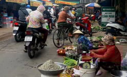 'Lang thang chợ quê' đất An Giang, mê gì đâu đám rau dại, rổ ổi, vài trái dừa khô, ít cá đồng giăng lưới