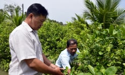Danh sách dài các loại trái cây đang tăng giá tốt ở Trà Vinh, nhà nào cắt bán là trúng