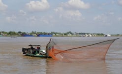 Mùa nước nổi An Giang, dân đi câu một con động vật đặc sản, có con to bự chảng, lớn bằng bàn tay