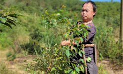 'Kỳ nhân' còn một chân lành ở Hải Dương rớt nước mắt nhìn trang trại tan hoang sau bão