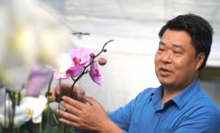 HTX này ở Thanh Hóa cơ giới hóa, ứng dụng công nghệ cao, ruộng đẹp như phim, dân giàu hẳn lên