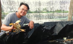 Thấy cái ao tôm bỏ hoang, 9X Ninh Thuận 'liều' thả nuôi con động vật này, ai ngờ lại trúng
