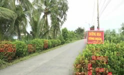 Tuyến đường hoa nông thôn mới kiểu mẫu ở một xã của Tiền Giang đẹp tinh tươm, dân tha hồ chụp hình, quay phim