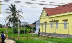 Thứ rau ham 'nghịch nước' trồng tốt um ở nơi này của Bạc Liêu, nhổ bán lãi gấp 5-7 lần so với trồng lúa