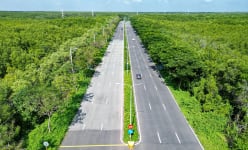 Mê mẩn với con đường 1.500 tỷ giữa Rừng Sác xanh mướt tại TP.HCM 