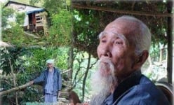 Ở vùng núi nổi tiếng này của An Giang có chuyện ly kỳ về con động vật hoang dã dài 15m, nặng 300kg