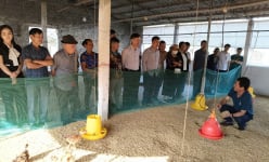 Hội Nông dân Thanh Hóa thực hành rút kinh nghiệm về xử lý rác thải thân thiện với môi trường cho hội viên