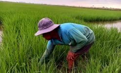Luật Đất đai 2024 bảo vệ lợi ích người dân, giúp dân giàu lên như thế nào? 