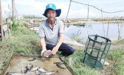 Cũng là nuôi cá, nuôi tôm, một ông tỷ phú nông dân ở TT-Huế nuôi kiểu gì mà doanh thu hàng chục tỷ/năm?