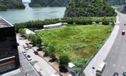 Gần 50.000 m2 'đất vàng' xây khách sạn bên bờ kỳ quan thiên nhiên vịnh Hạ Long bị bỏ hoang lãng phí cả thập kỷ