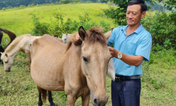 Nông dân Nậm Pồ xây dựng cuộc sống mới