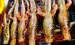 Du khách 'khóc thét' khi nhìn món đặc sản này, nhưng cắn một miếng lại gật gù khen thơm ngon, đậm vị... sa mạc