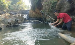 Đào ao nuôi cá rô phi, làm chả rán lên thơm khắp làng, anh nông dân Bắc Kạn có của ăn của để
