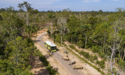 Vinpearl Safari Phú Quốc lọt top đầu vườn thú và thủy cung tại Châu Á