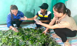 Ở nơi này của Hà Tĩnh, dân nuôi con vật ăn ngày ăn đêm rồi 'trốn' vào một cái tổ, dân vẫn giàu lên