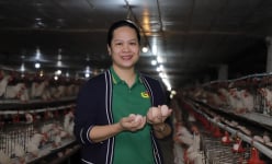 Rời thủ đô, vợ chồng bỏ nghề công chức về Quảng Ninh nuôi con ví “cỗ máy siêu đẻ”, bán 4 vạn quả trứng/ngày