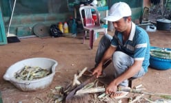 Nuôi động vật hoang dã ở Gia Lai, nông dân thu lợi kép, tốn ít tiền mua thức ăn lại bán đắt tiền