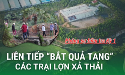 Dân liên tiếp 'bắt quả tang” nhiều trại lợn xả thải gây ô nhiễm môi trường (Phóng sự 1)