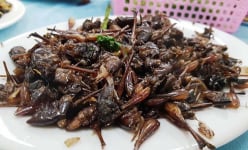 Ninh Bình có món đặc sản, nhìn hơi sợ nhưng khi thưởng thức ngon không tưởng