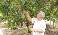 Xây dựng công trình trên đất nông nghiệp ở TP.HCM: Chấm dứt tình trạng 'trên nóng, dưới lạnh'?