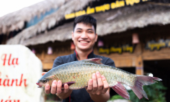 Loài cá lạ đời ở Hà Giang, càng trông càng thấy lâu lớn, thịt ngon ngọt, giàu protein, axit amin, giá bán 'đại gia'