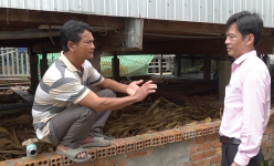 Nuôi con đặc sản bình dân trong bể xi măng, ông nông dân Đồng Tháp bắt bán 110.000-150.000 đồng/kg