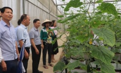 Hội Nông dân Bắc Giang xây dựng mới 87 sản phẩm OCOP, tạo động lực nông dân phát triển kinh tế nông thôn