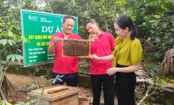 Nuôi ong mật ở xã này của Hà Tĩnh theo kiểu gì mà hộ nào nuôi nhiều là có thu nhập cao?